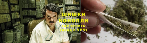 ГАЛЛЮЦИНОГЕННЫЕ ГРИБЫ Белоозёрский