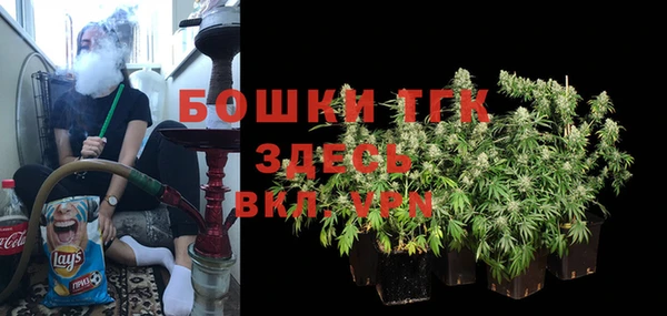 стаф Беломорск