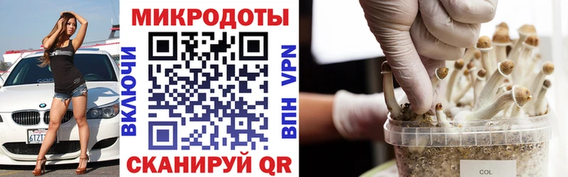 блэк спрут как зайти  сколько стоит  Соль-Илецк  Галлюциногенные грибы ЛСД 