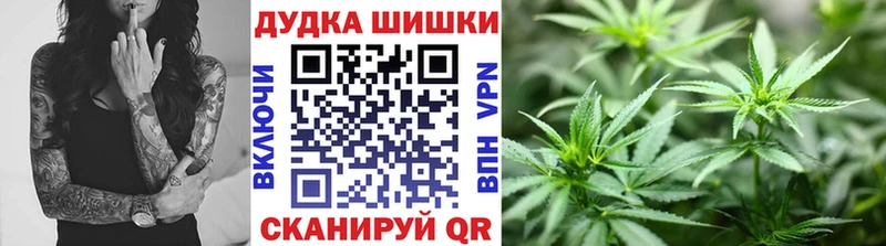 наркошоп  Соль-Илецк  Конопля сатива 
